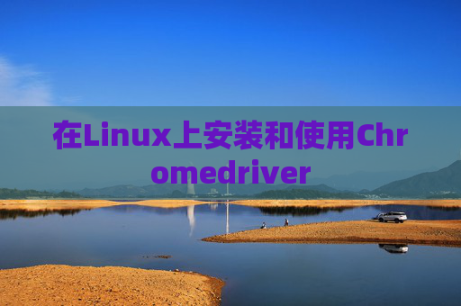 在Linux上安装和使用Chromedriver