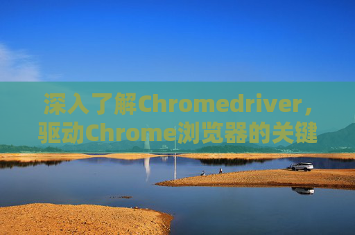 深入了解Chromedriver，驱动Chrome浏览器的关键工具