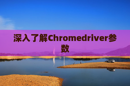深入了解Chromedriver参数