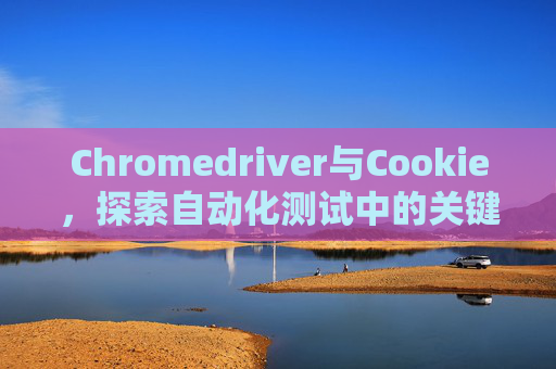 Chromedriver与Cookie，探索自动化测试中的关键元素