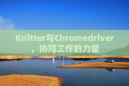 Knitter与Chromedriver，协同工作的力量