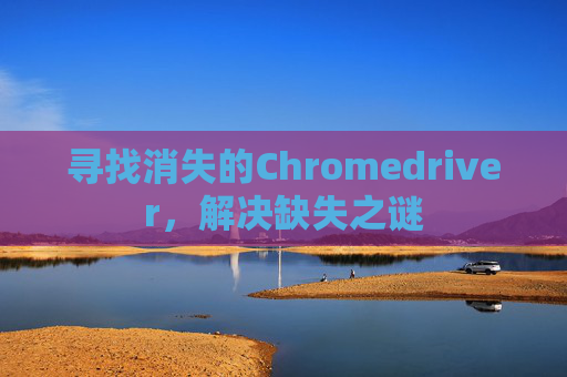 寻找消失的Chromedriver，解决缺失之谜