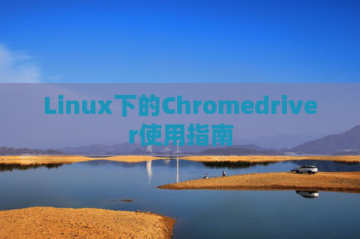 Linux下的Chromedriver使用指南