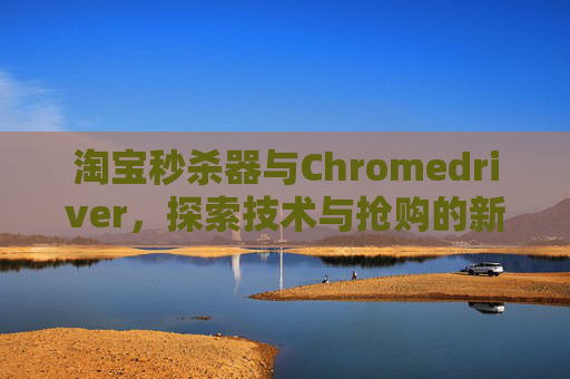 淘宝秒杀器与Chromedriver，探索技术与抢购的新纪元